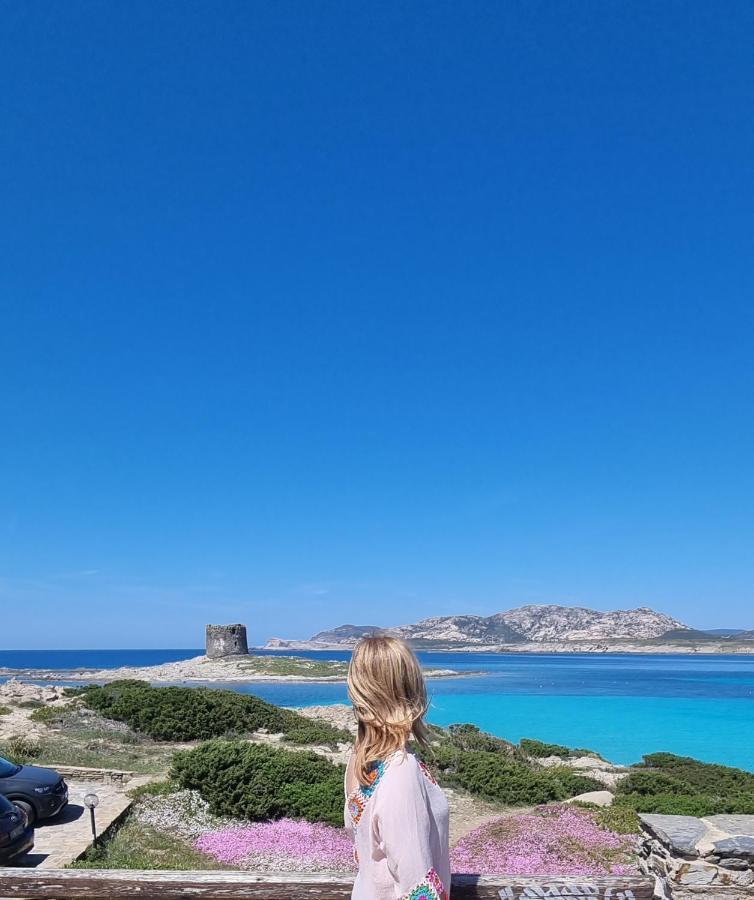 La Villetta Tre Palme فاليدوريا المظهر الخارجي الصورة