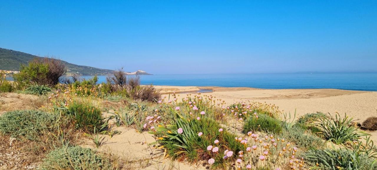La Villetta Tre Palme فاليدوريا المظهر الخارجي الصورة