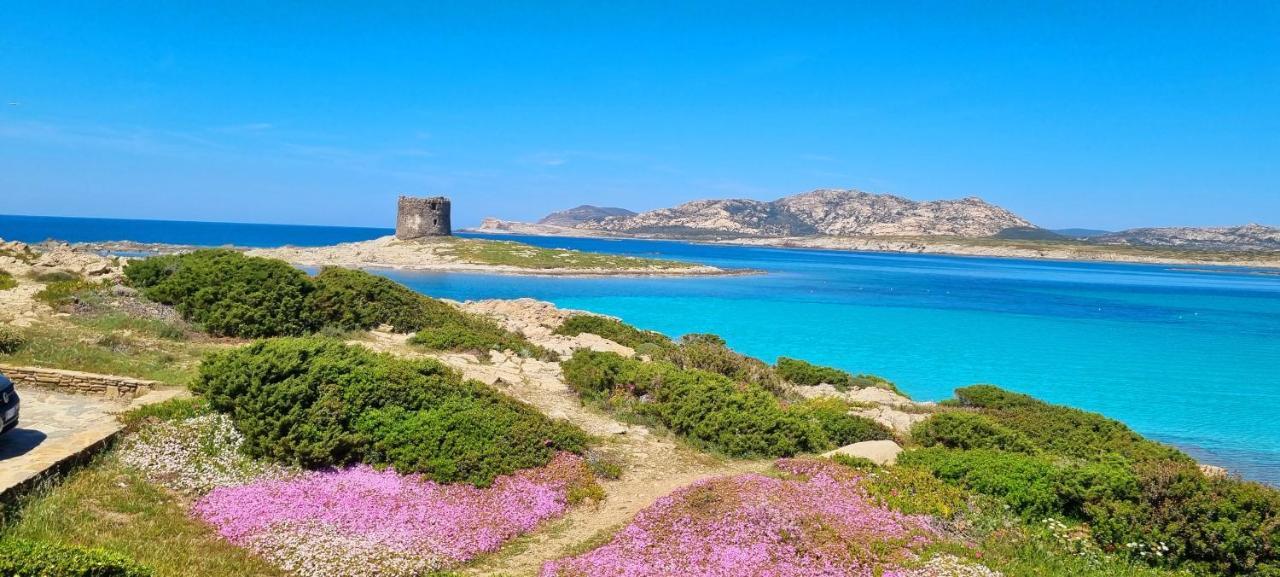 La Villetta Tre Palme فاليدوريا المظهر الخارجي الصورة