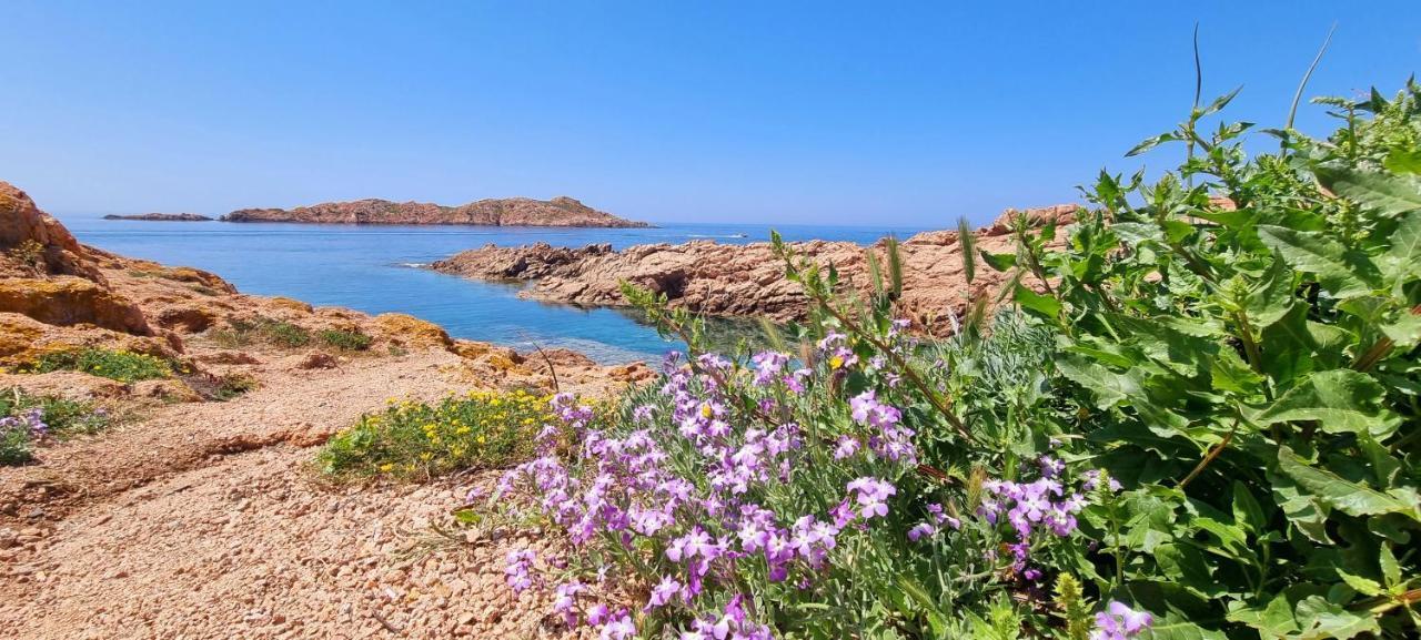 La Villetta Tre Palme فاليدوريا المظهر الخارجي الصورة