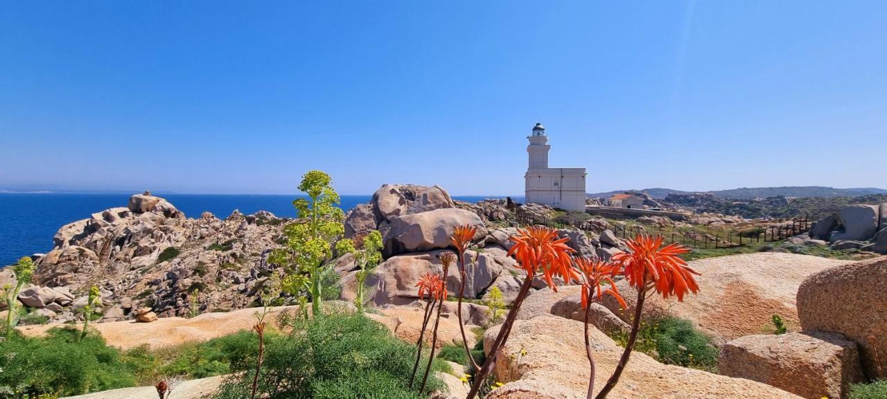 La Villetta Tre Palme فاليدوريا المظهر الخارجي الصورة